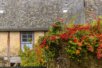 Window  with plant in Rochefort-en-Terre, Brittany