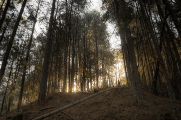Amanecer San Pedro el Alto, Oaxaca