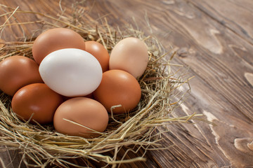 Fresh village chicken eggs on dark wooden background. Easter entourage. Basket or socket
