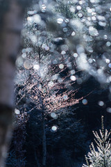 Neige inventée