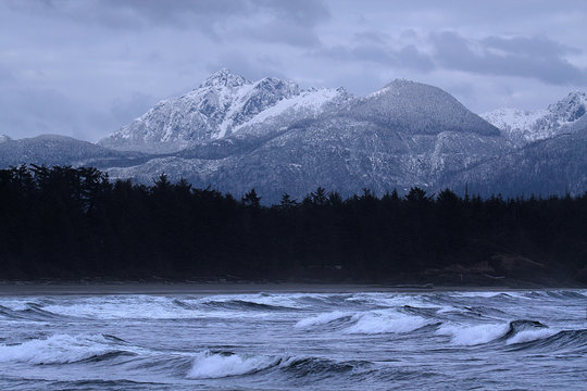 VANCOUVER ISLAND COASTLINE