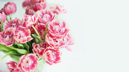 Bouquet of pink tulips. close up of a tender spring bouquet. bridal bouquet of tulips on a light background.