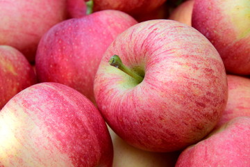 Fototapeta na wymiar Rote Äpfel nach der Apfelernte in Südtirol