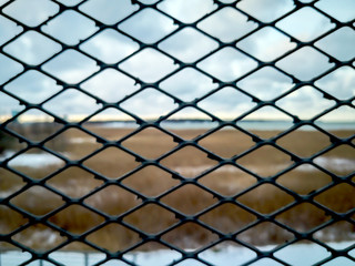 Fototapeta premium Lattice. The winter sea