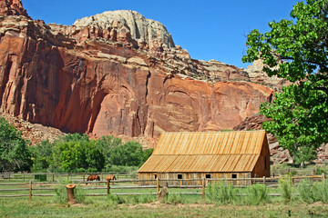 Obraz na płótnie Canvas Red cliff, wooden barn and horses - Utah