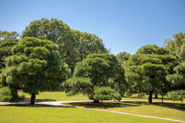 Garden Scene at Parkgate