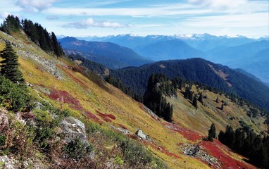 Naklejka premium Colorful fall foliage on Saul Mountain with a view of the North Cascades
