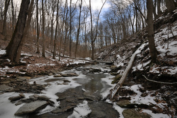 Frozen stream in forest in winter