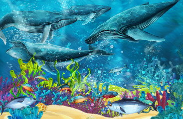 cartoon scene with whale near coral reef - illustration for children