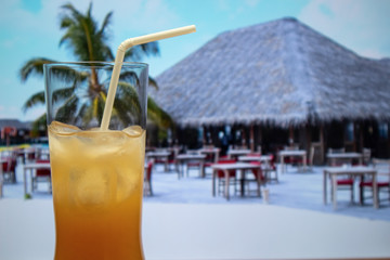 Sex on the Beach cocktail highball glass with straw