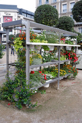 biblioth&egrave;que florale