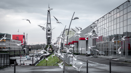 Naklejka premium Der Hafen in Neuss 