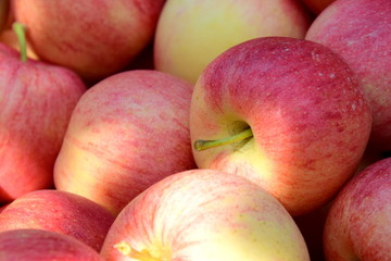 Leckere saftige Äpfel - erntefrisch - Verkauf im Obstgeschäft