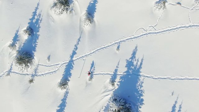 Aerial view of winter mountain and skiing snow hikers with ski and snowshoes trough small group with pine trees.