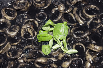 CALAMARES EN SU TINTA CON HOJAS DE CANÓNIGOS