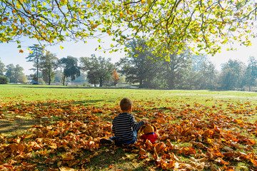 boy in autumn park