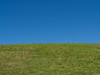 Fototapeta premium grass and sky