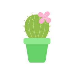 Cute cactus in green plant pot, vector illustration. Isolated succulent with pink flower, web or print icon.