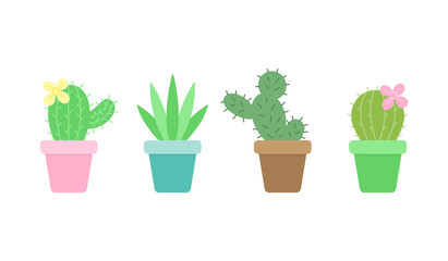 Cute cactus set, four different cacti in little plant pots, vector illustrations,  succulent isolated icon collection.