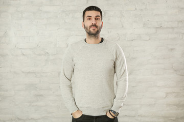 Portrait of handsome bearded man in a grey pullover 