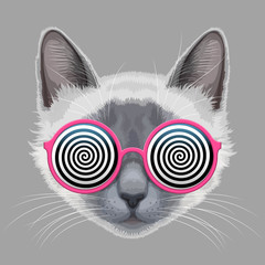 Cat face and hypnotic eyeglasses - obrazy, fototapety, plakaty