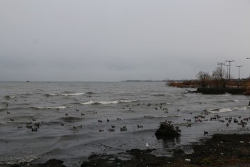 琵琶湖のほとり