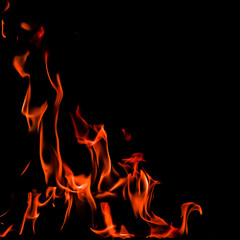 Flames of fire on a black background. Space for copy, text, your words. With a 1x1 square...