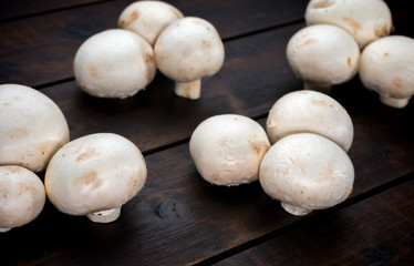 group of button mushrooms on background