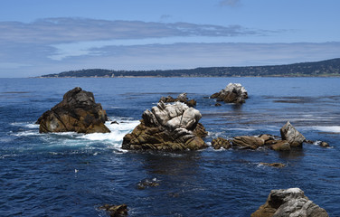 Point Lobos, California views