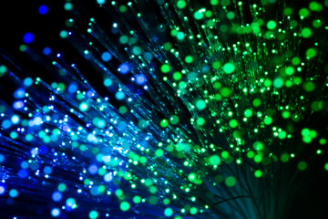 bundle of optic fibers in blue and green light