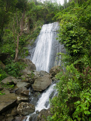 Fototapeta premium Beautiful waterFall in El Yunque, Puerto Rico, USA