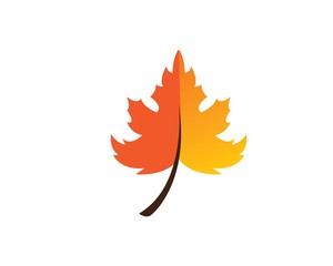 autumn leaves logo vector template