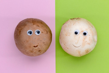 smiling button mushrooms couple on pink and green background