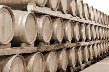 Wine barrels in wine-vaults in order.