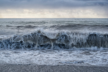 Seascape during a storm with a wave