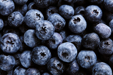 Ripe and sweet blueberries