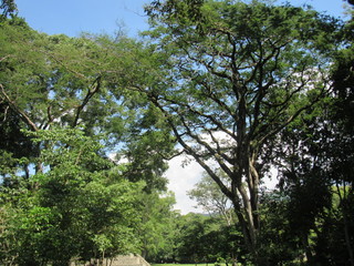 Ruinas de Copan, Honduras