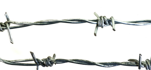 Barbed wire isolated on a white background