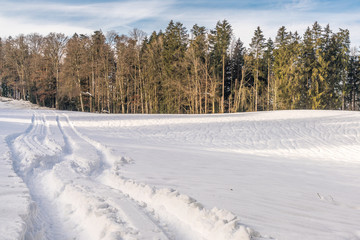 Eine Winteridylle am Waldrand