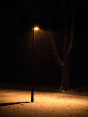 single street lamp in a public park at night during snowfall