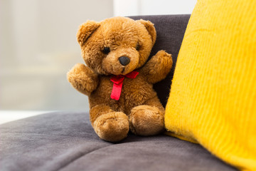 Teddy bear toy