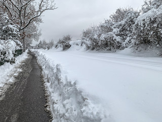 Trister Weg durch eine verschneite Landschaft