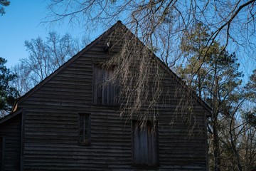 Fototapeta premium A barren limb droops down in front of the old gristmill, illuminated by the sunshine, at Historic Yates Mill County Park in Raleigh North Carolina.