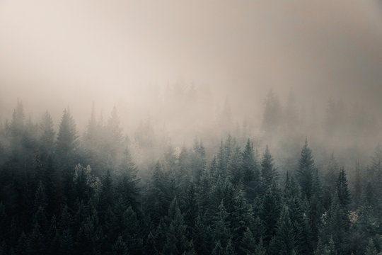 Morning Breath - Prince George, B.C. © Terence