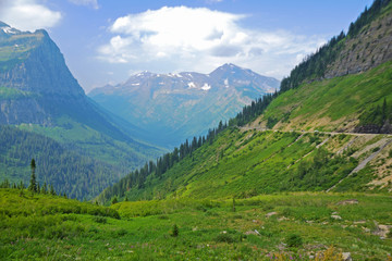 Fototapeta na wymiar The goats and glaciers of Glacier National Park in summer.