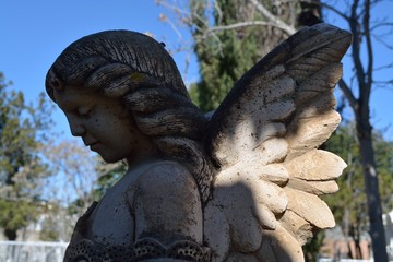 Stone angel