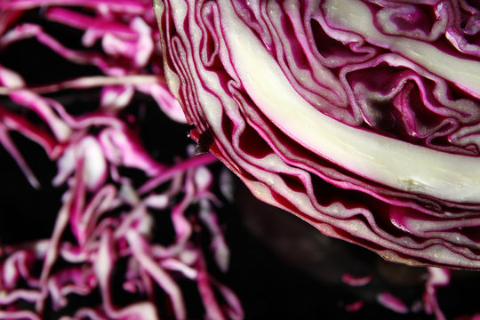 Purple Cabbage Texture