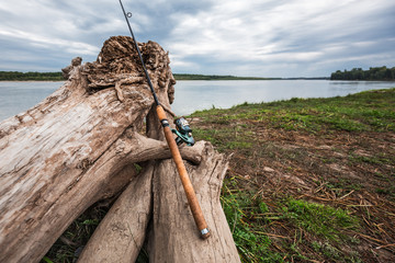 The coast of the Ob river with snags. Western Siberia