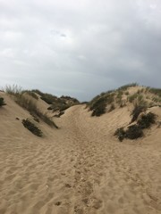 dunes