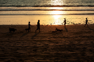 Fototapeta na wymiar people and dogs at sunset on bali island